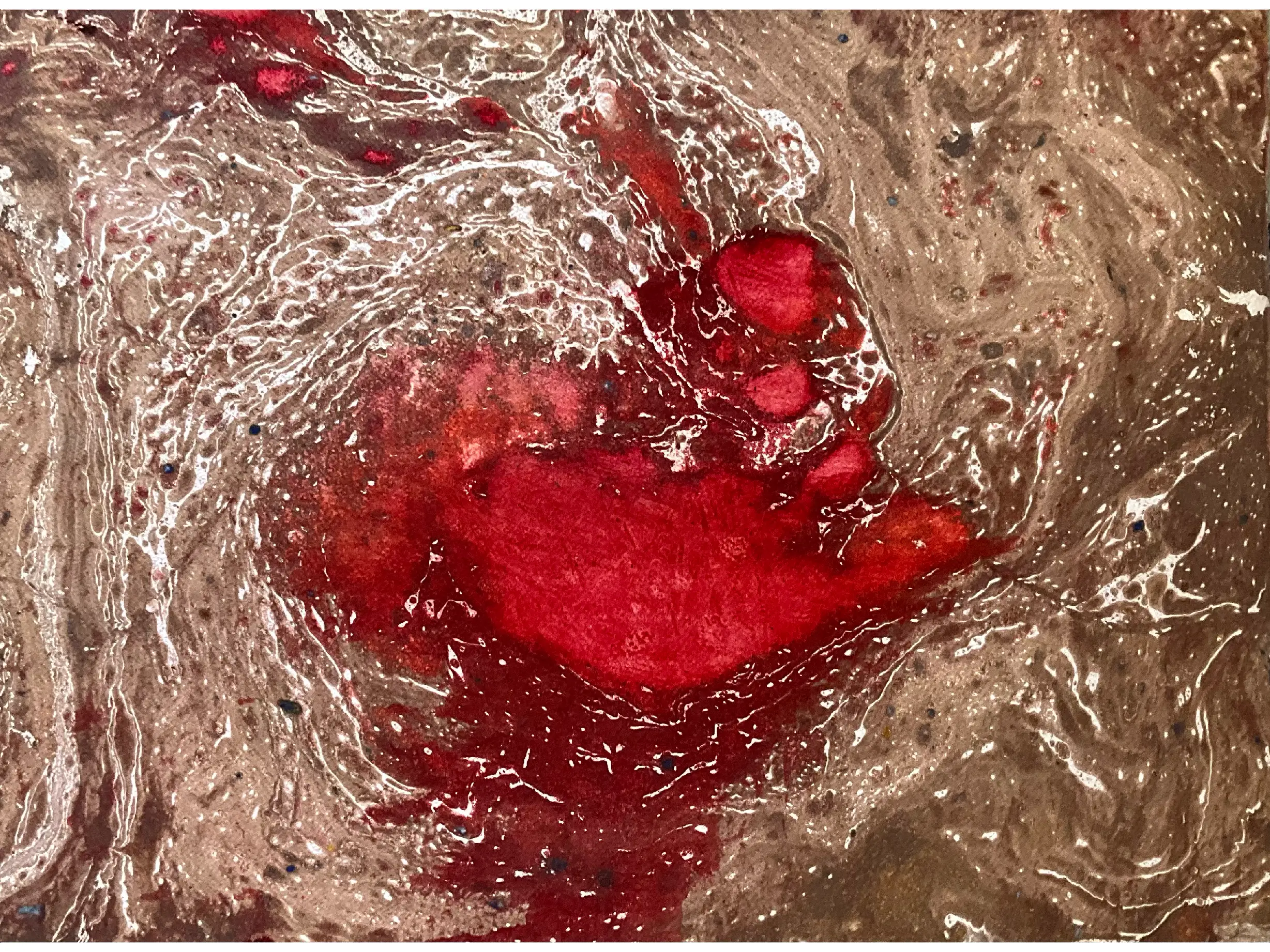 LiviaCartaOpere2223%2014