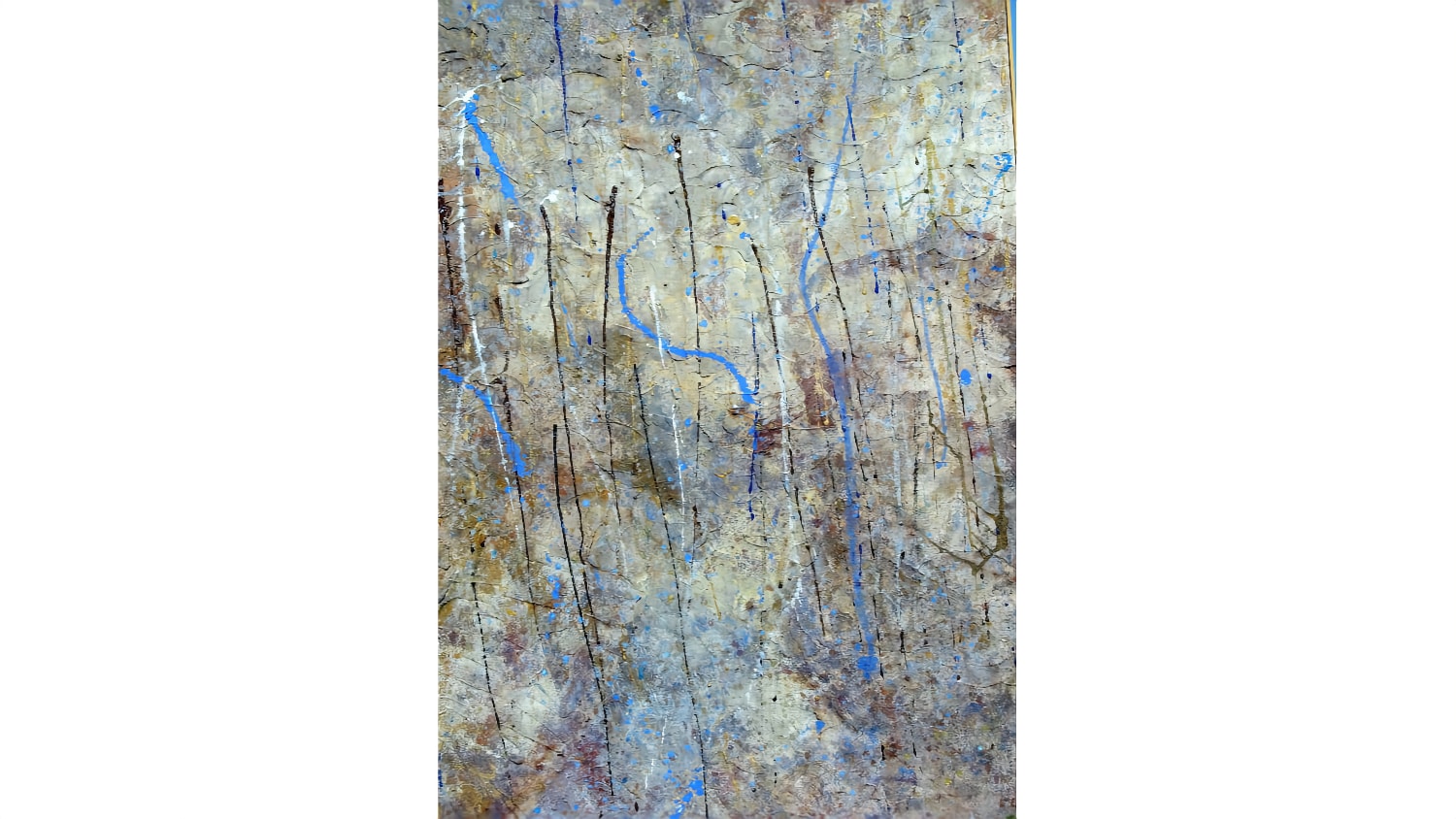 olio%20005